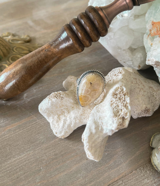 Coral Fossil Sterling Silver Ring