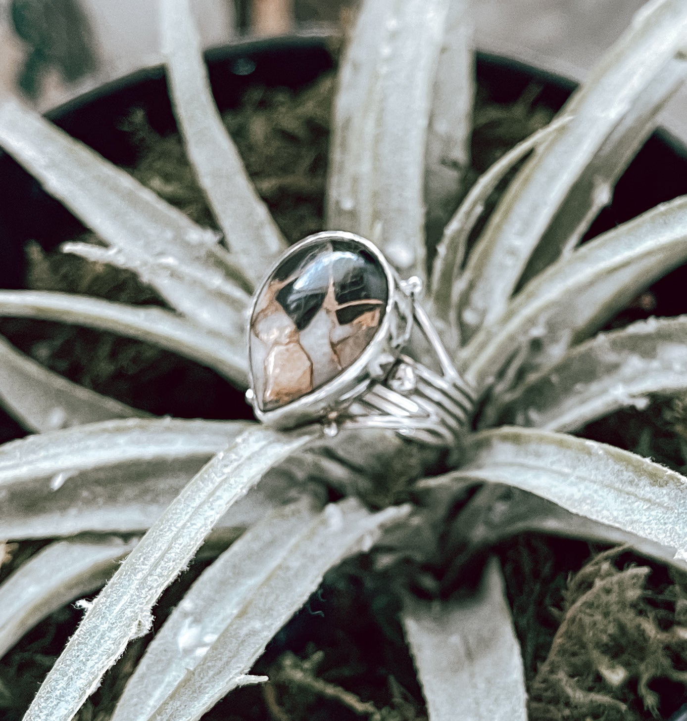 Buffalo Jasper Sterling Silver Ring