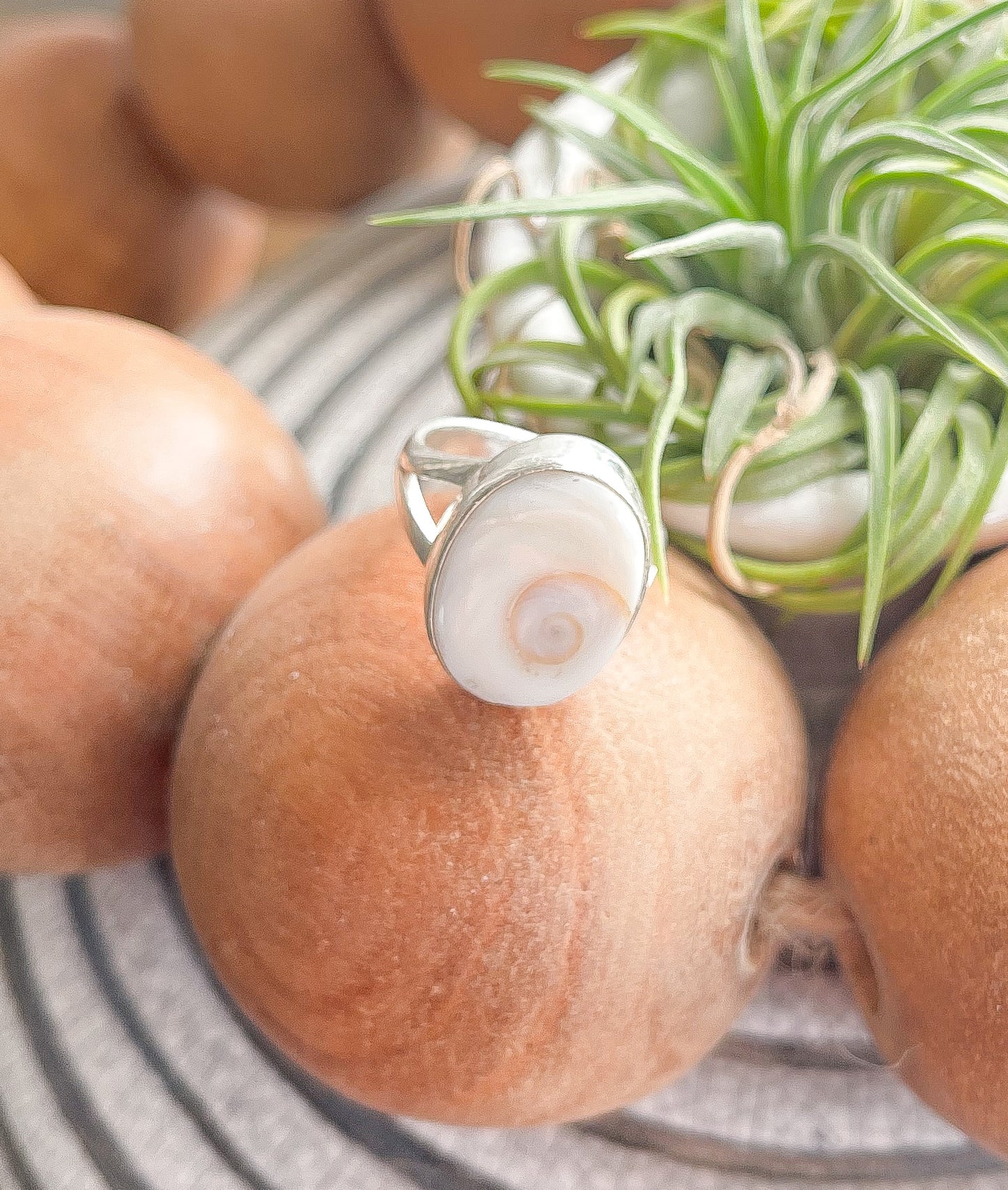 Shiva Eye Shell Sterling Silver Ring