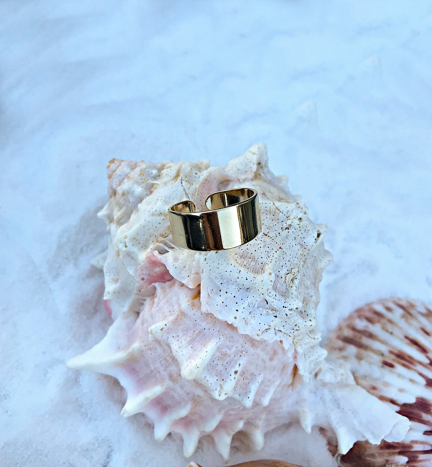 Adjustable Gold Band Ring